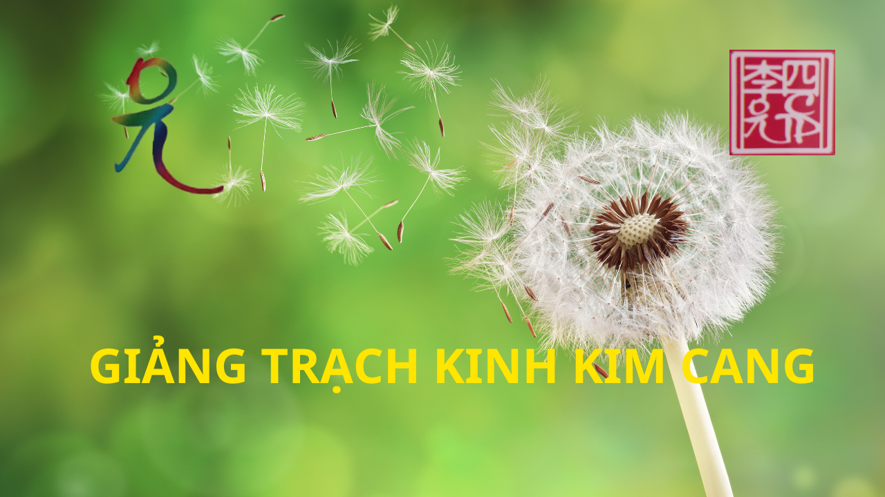 Buổi 6: Kim Cang Ngoại Truyện !!! | Hạnh Phúc Quanh Ta K06