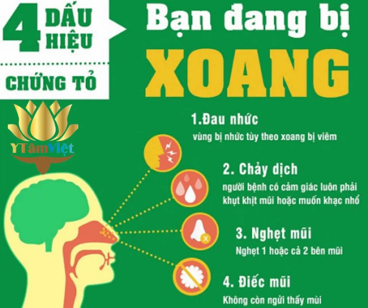 Bệnh Viêm Xoang Mũi | Biểu Hiện và Biến Chứng như thế nào