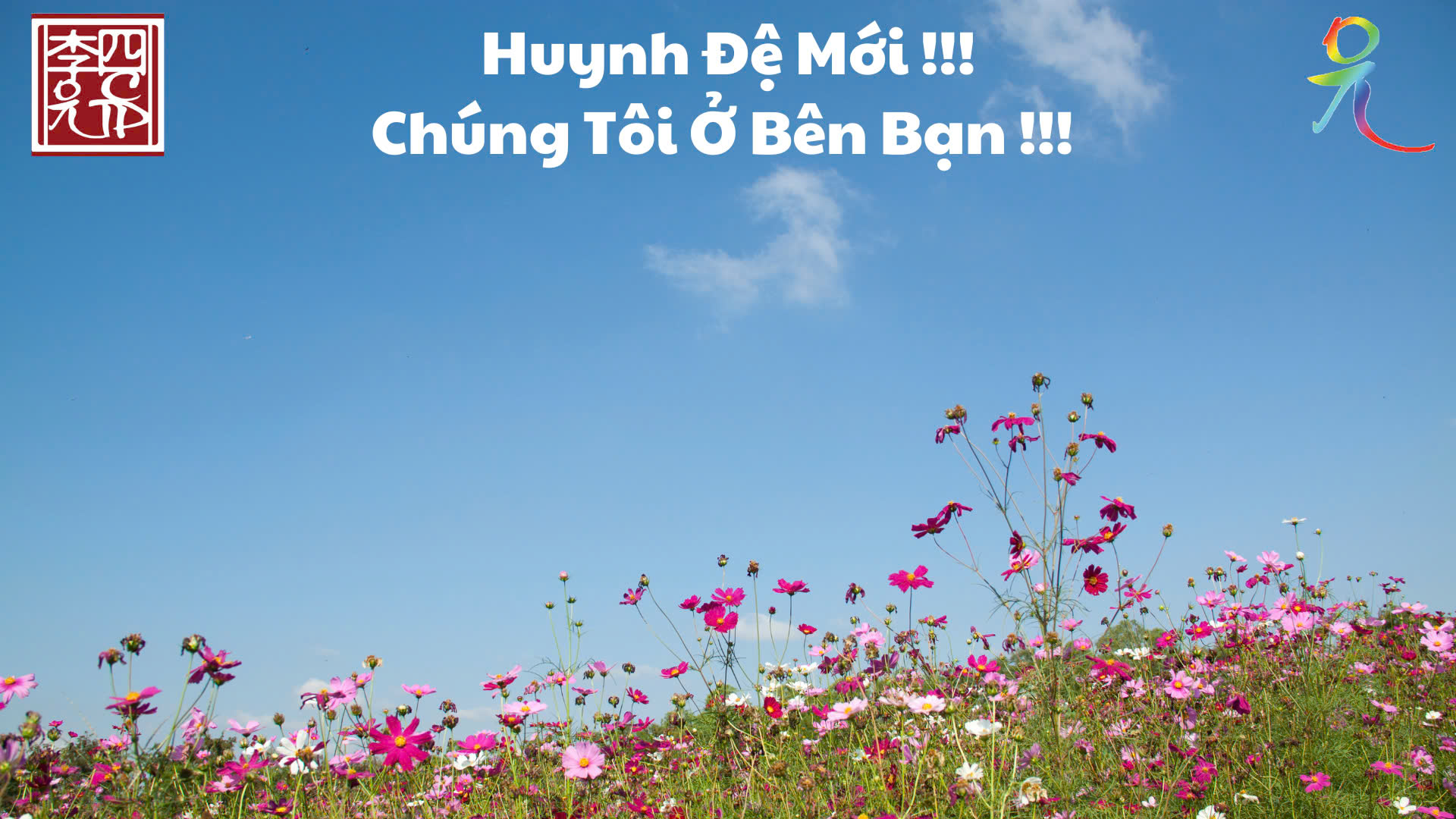 5 Túi Khôn Đâu Rồi?